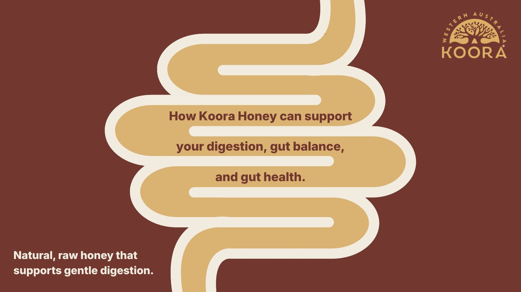 How Koora Honey can support your digestion, gut balance, and gut health