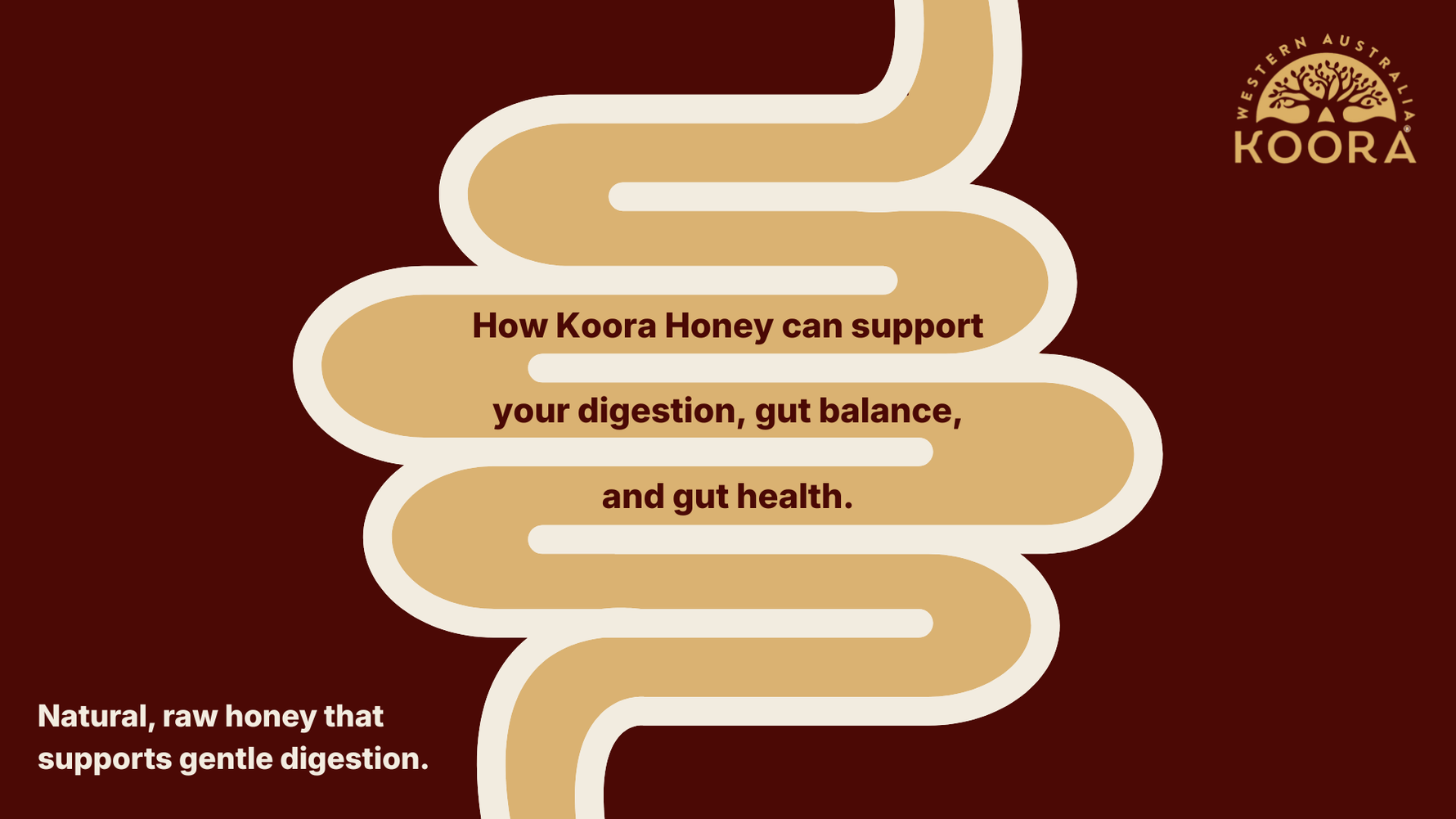 How Koora Honey can support your digestion, gut balance, and gut health