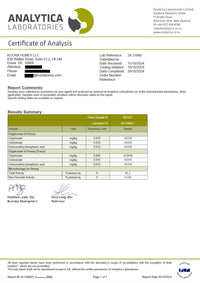 Jarrah Honey TA35+ (Equivalent to Antimicrobial Rating of MGO 2000+ in Manuka Honey)